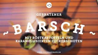 Folge 3: gebratener Müritzbarsch vom FISCH KAUF HAUS :: Müritzfischer
