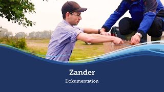 Müritz-Zander - die Müritzfischer-Doku über einen geschmackvollen Raubfisch in der Müritz :: Müritzfischer