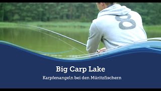 Big Carp Lake - Karpfenangeln bei den Müritzfischern :: Müritzfischer