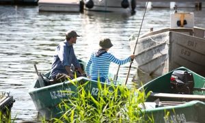 Ideal für eine Angelurlaub mit der Familie :: Ferienwohnung in Eldenburg :: Müritzfischer