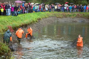 Traditionelles Abfischfest :: Müritzfischer